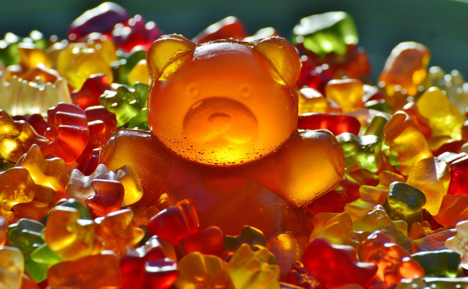 CBD Gummies are CBD candies that are edible